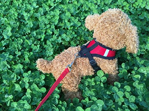 [Australia] - Pet Dog Vest Harnesses Puppy Cotton Polyester Adjustable Dog Mesh Harness Travel Chest Strap Vest Reflective L Blue 