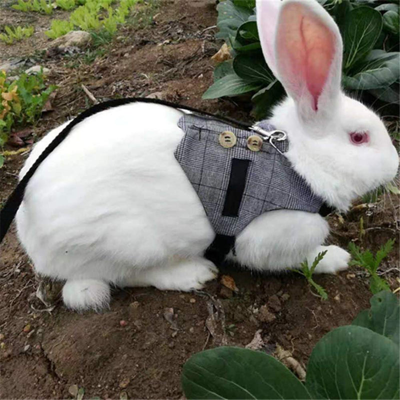 Rabbit Harness, Multipurpose Adjustable Soft Pet Rabbit Walking Harness Leash Lead Gentlemanly Style Bunny Vest for Small Animal (S) S - PawsPlanet Australia