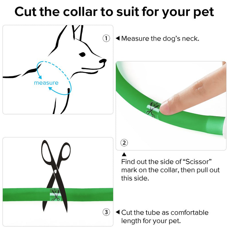 [Australia] - HiGuard LED Dog Collar, USB Rechargeable Glowing Pet Safety Collars, Adjustable Water-Resistant Flashing Light Up Necklace Collar Make Your Dogs High Visible & Safe in the Dark (1Pack-Green) 