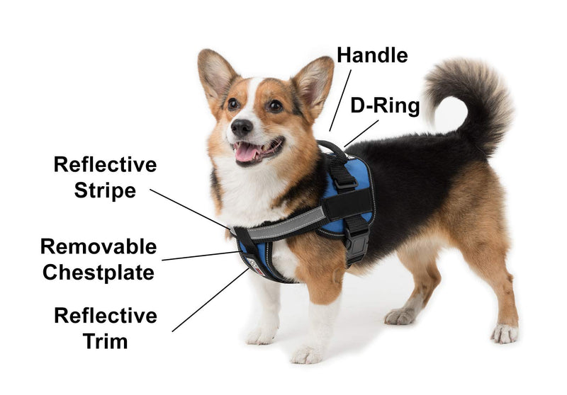 [Australia] - Dogline Unimax Multi-Purpose Dog Harness Vest with Blank Patches Adjustable Straps, Comfy Fit, Breathable Neoprene for Medical, Service, Identification and Training Dogs Medium (22"-30") Blue 