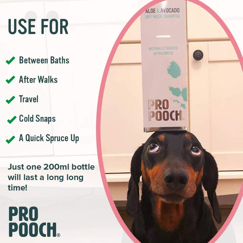 Pro Pooch Dry Shampoo For Dogs (200 ml) Quick Drying Waterless No Rinse Mousse. - PawsPlanet Australia