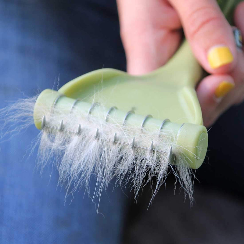 [Australia] - Safari Shedding Tool Small NO Color 