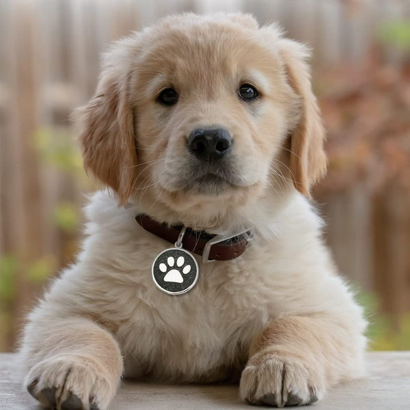 Pack of 6 Dog Bone Pet Dog Tag | bones | Pendant ID tag dog address tag address tag | many colours - PawsPlanet Australia