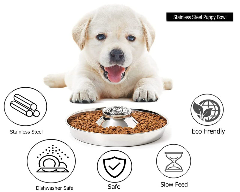 King International Stainless Steel 2 Puppy Bowls,Puppy Food Bowl,Puppy Bowls for Small Dogs,29cm,Puppy Bowl,Puppy Supplies,Puppy Feeder,Puppy Feeding Bowls for Litters - PawsPlanet Australia