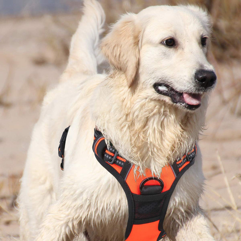 [Australia] - Vovodog Dog Harness No-Pull Pet Harness, Adjustable Outdoor Walking Pet Reflective Oxford Soft Vest with 2 Metal Rings and Handle Easy Control for Small Medium Large Dogs L (Neck: 14-22"|Chest: 26-29") Orange 