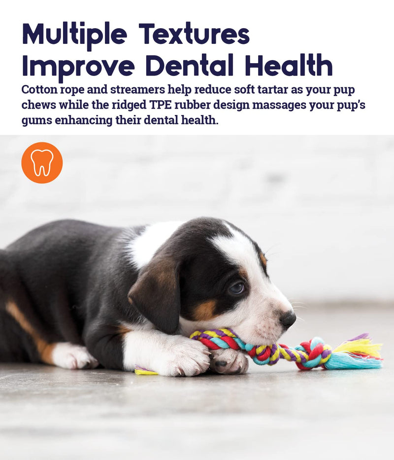Petstages Dental and Teething Dog Chew Toys Dental Chew 3 Pk - PawsPlanet Australia