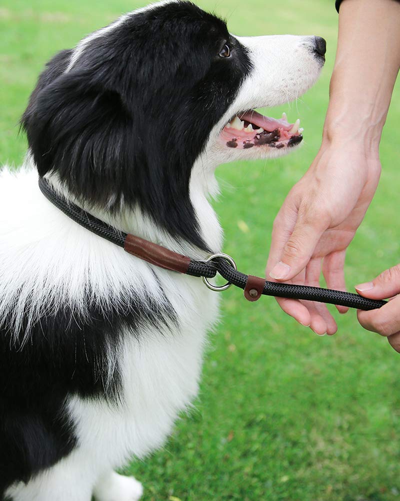 BTINESFUL 5FT Durable Slip Lead Rope Dog Leash, No Pull Nylon Training Leash for Medium Large Dogs, 1/2" X 5', Black 1/2" x 5 feet - PawsPlanet Australia