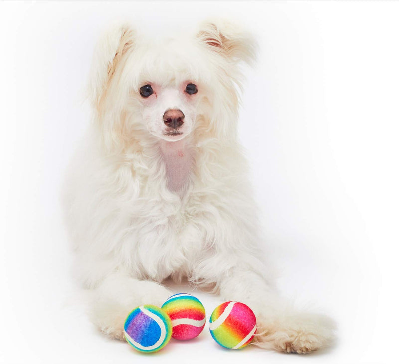 Pet London Rainbow Dog Tennis Balls-Squeaker Inside-Set of 3-Dog Ball Toys for Squeaking - Celebrate Your Dog's Happy Birthday or any Occasion - Perfect Dog Party Gift Toy-Bday Balls (Regular) Regular - PawsPlanet Australia