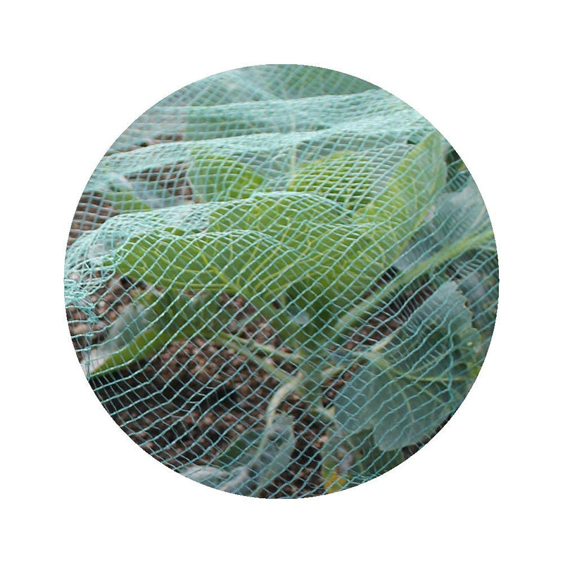 Soft Green Anti Butterfly Netting for Garden Fruit and Vegetable Protection (2m Per Metre) 2m Per Metre - PawsPlanet Australia