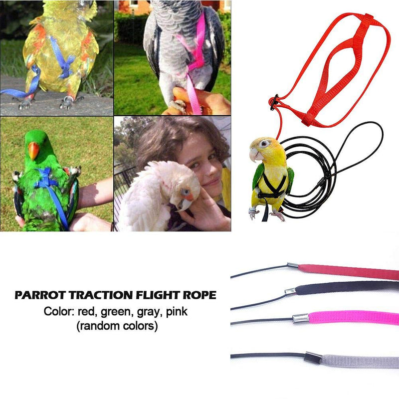 Yestter Elegant Adjustable Anti-Bite Harness and Lead for Pet Birds, Parrots, African Grey, Cockatoos, Yellow Ring Neck, Budgie, Cockatiel XS - PawsPlanet Australia