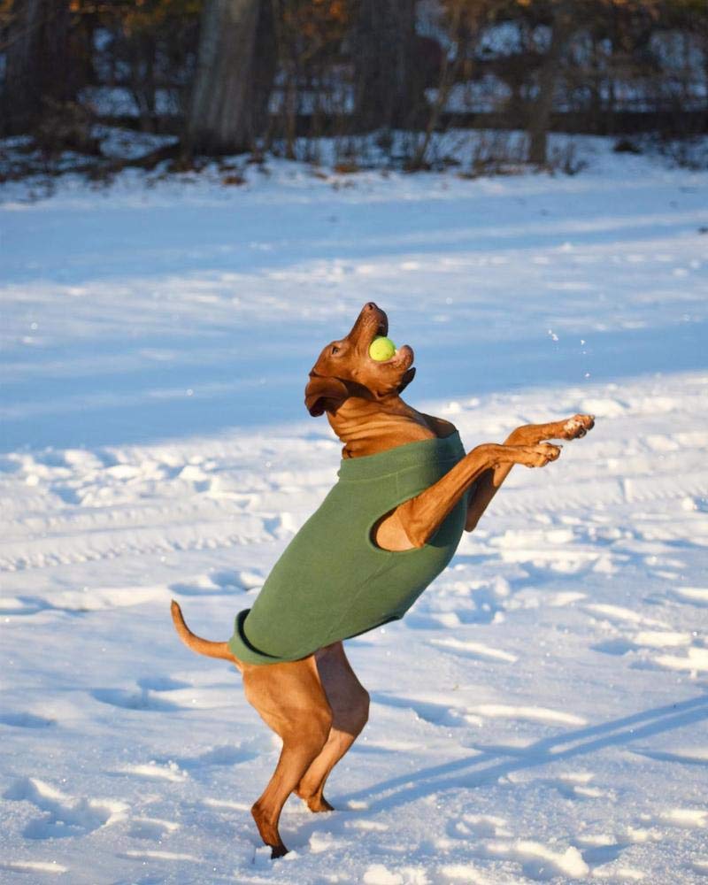 Gooby Stretch Fleece Vest Dog Sweater - Warm Pullover Fleece Dog Jacket - Winter Dog Clothes for Small Dogs Boy - Dog Sweaters for Small Dogs to Dog Sweaters for Large Dogs for Indoor and Outdoor Use Black 3X-Large Length (20.5") - PawsPlanet Australia