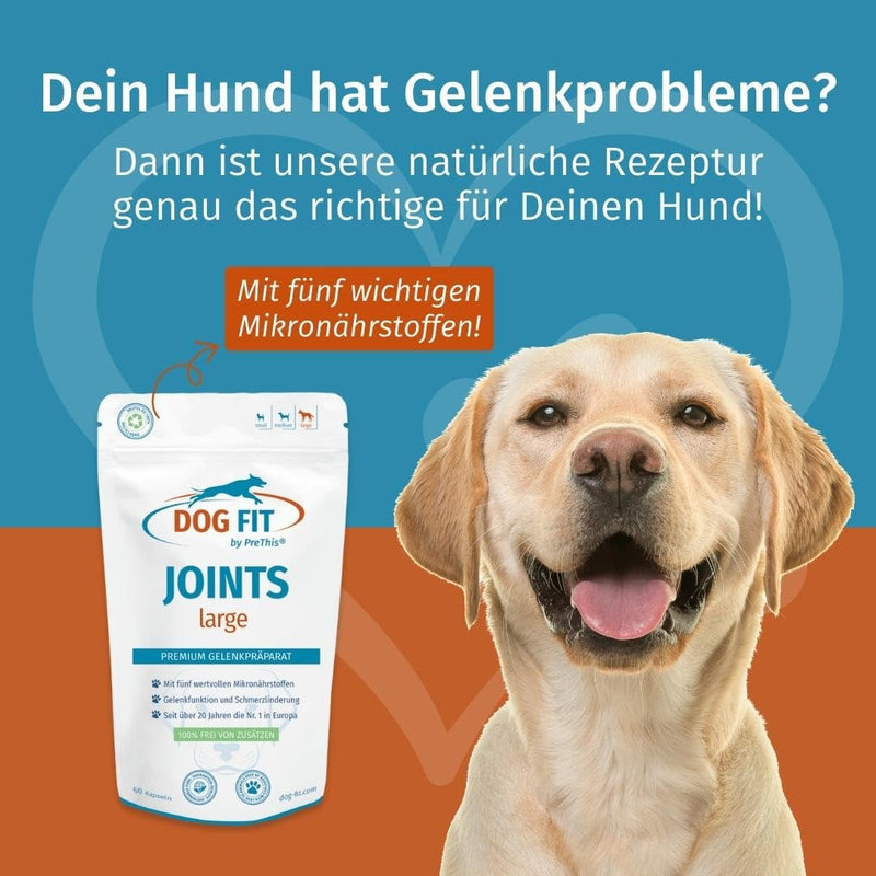 DOG FIT by PreThis® Joints Joint remedies for dogs for osteoarthritis, patellar luxation, spondylosis & hip dysplasia I Glucosamine, MSM, collagen, frankincense, devil's claw without additives I Large JOINTS large (from 25 kg) - PawsPlanet Australia