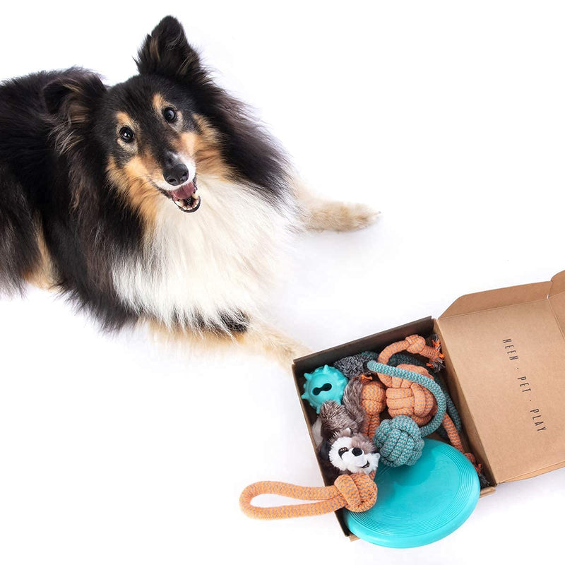 Keen.Pet.Play Puppy Dog Toys - Gift Box for Dog Training, Puppy Toys from 8 weeks, Dog Birthday Present & Puppy Teething Toys for Boredom (Pack of 6) - PawsPlanet Australia