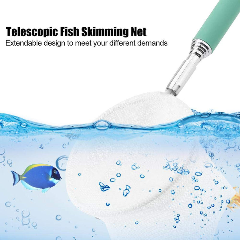Pssopp Fishing Landing Net, Extendable Telescopic Fish Shrimp Skimming Net Stainless Steel Handle Fishing Net for Aquarium Fish Tank Pond Creek Round Green - PawsPlanet Australia
