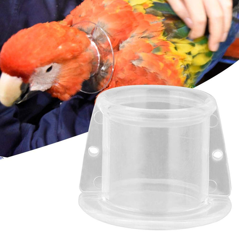 Hffheer Parrot Neck Collar Bird Recovery Cones Bird Feather Protector Shield for Birds(S) S - PawsPlanet Australia