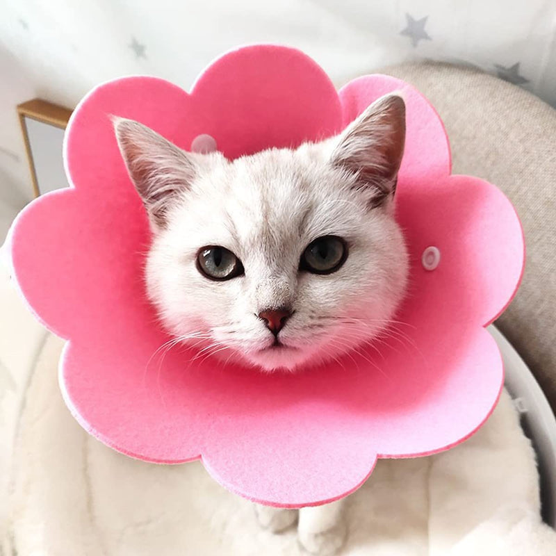 Qixuer Cat Neck Collar, Pack of 4 Protective Collar Cat Collar Pink and Blue Cat Collar Protectors Are Used to Prevent Injuries Caused by Licking Wounds After Surgery - PawsPlanet Australia