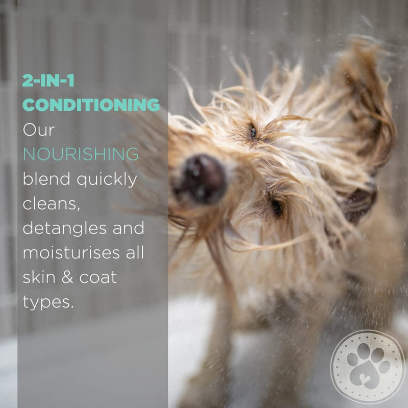 For All DogKind 2-in-1 Conditioning natural shampoo for Everyday skin & coats (250ml) 250ml - PawsPlanet Australia