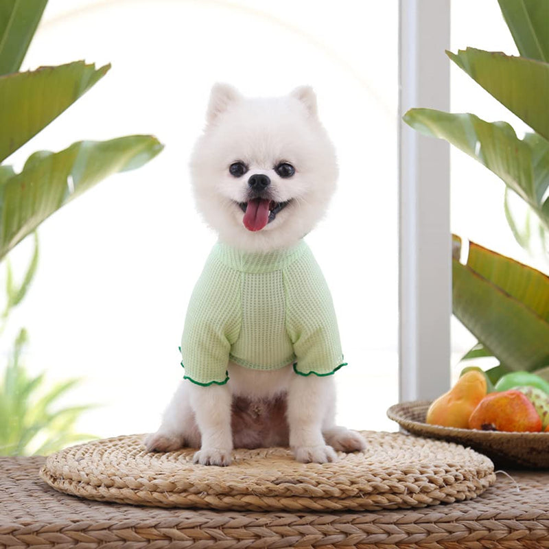 PETSYARDS Dog Shirts, Cute Ruffle Sleeved T-Shirt Girl Boy Puppy Breathable Pullover Embroidered Pineapple Patterns Dog Clothes Small Dogs Cats Tee Top XS X-Small Green-Pineapple - PawsPlanet Australia