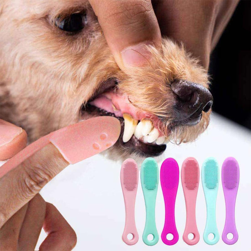 High-quality dog toothbrushes for effective dental care and tartar removal for small dogs. Ideal for bad breath and for regular teeth cleaning. 6 pieces per pack. - PawsPlanet Australia
