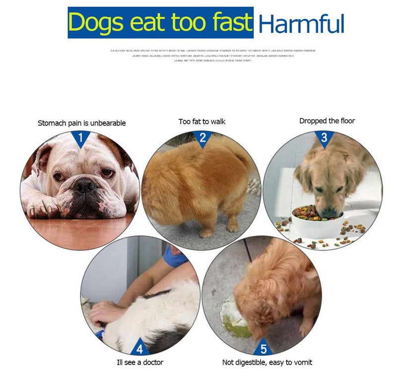Ranvi Dog Feeder Slow Eat Pet Bowl Environmentally Friendly and Durable Non-toxic Prevention Choking Healthy Design Bowl for Dogs,Blue Blue - PawsPlanet Australia