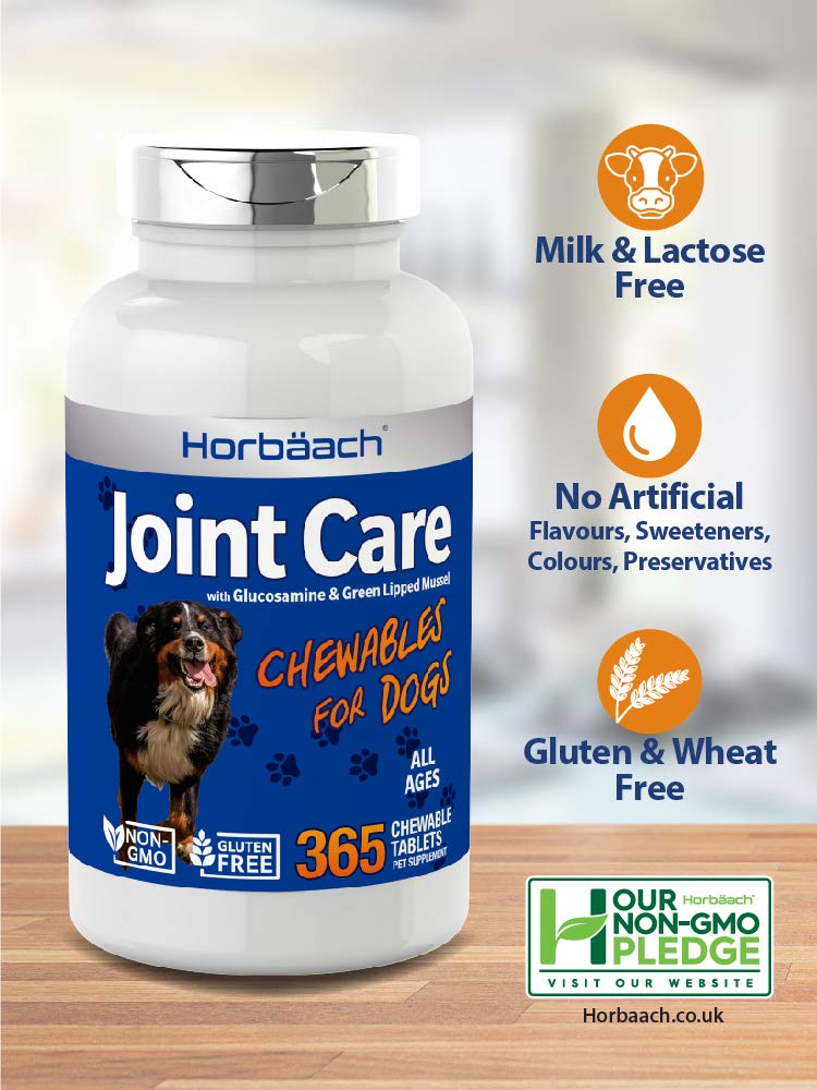 Joint Care for Dogs | 365 Liver Flavour Chewable Tablets | Hip & Joint Health | Glucosamine, MSM, Green Lipped Mussel, Hyaluronic Acid + More | Non-GMO, Joint Aid Supplement for Dogs - PawsPlanet Australia