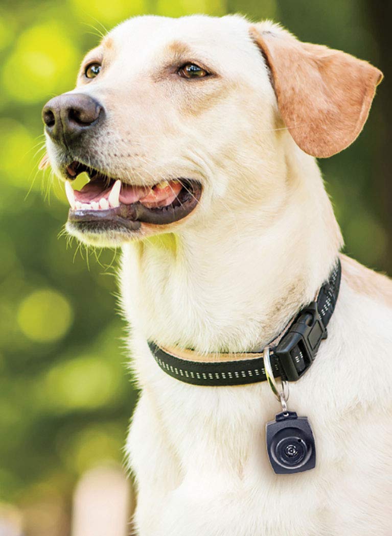 Pet Parade Ultrasonic Tick & Flea Repeller - Emits High Frequencies and Protects Your Pet Without Harmful Chemicals or Pesticides - PawsPlanet Australia