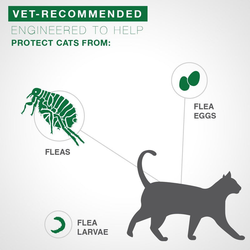 [Australia] - Advantage II 4-Dose Large Cat Flea Prevention, Flea Prevention for Large Cats, 9 Pounds and Over 