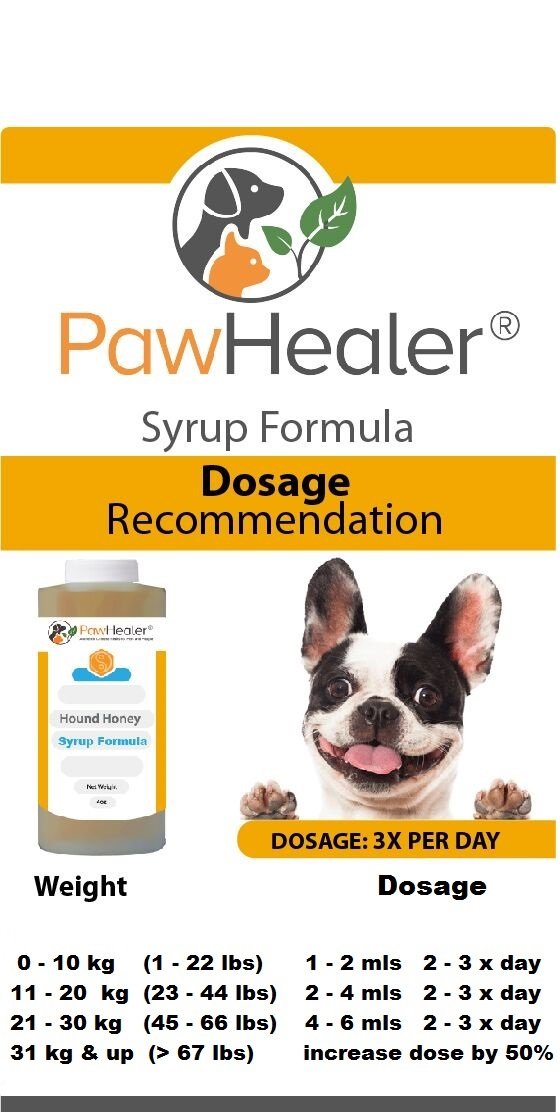 Trachea Soother Syrup BUNDLE with Trachea Support: Phlegm Heat - Natural Herbal Remedy for Symptoms of Collapsed Trachea for Dogs - Combo of (1 Bottle) 150 ml syrup & (1 Bottle) 50 grams powder … - PawsPlanet Australia