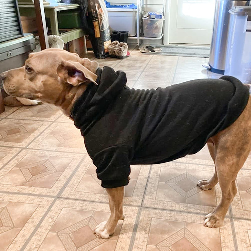 BINGPET Blank Basic Polyester Pet Dog Sweatshirt Hoodie X-Small (Pack of 1) Black - PawsPlanet Australia