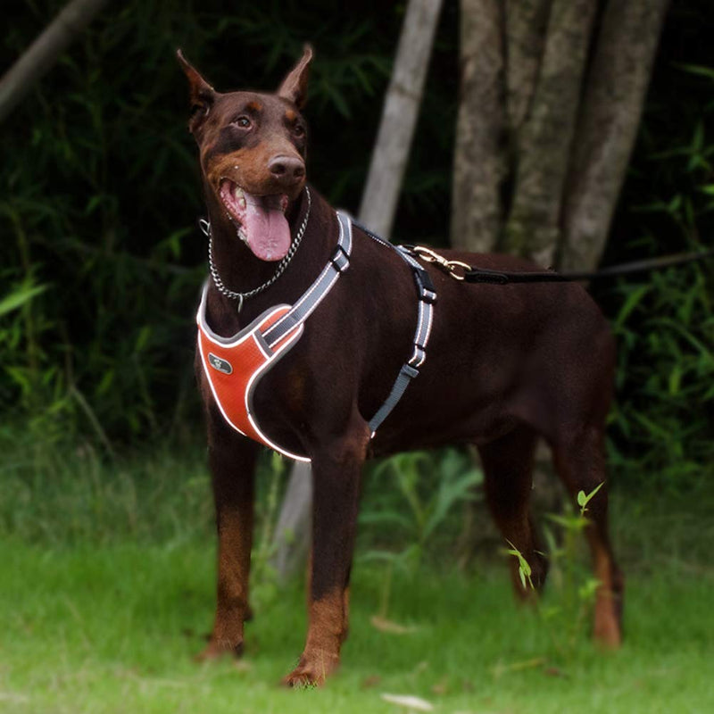 FEimaX No Pull Dog Harness Adjustable Pet Vest Harness for Small Medium Large Dogs Reflective Oxford Material Chest Harness for Puppies, Soft Breathable Mesh Padded, Outdoor Easy Control (M, Orange) M (chest19.6''-25.2'') - PawsPlanet Australia