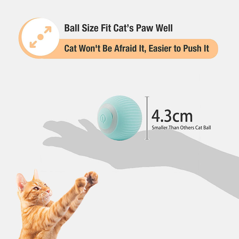 Namsan Cat Toy Electric Cat Ball with LED Light Automatic 360 Degree Rollball Interactive Cat Toy USB Rechargeable for Cats (Blue) Blue - PawsPlanet Australia