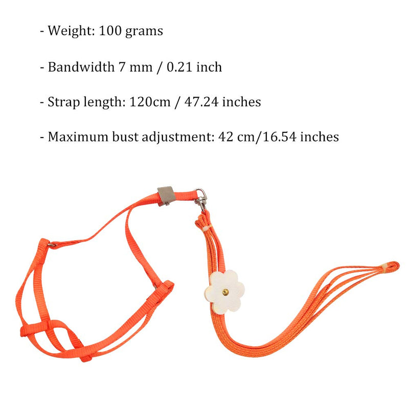 XYDZ Bird Harness Parrot Leash Flying Anti-Bite Traction Rope Bird Training Outdoor Carrying Flight Rop Adjustable Fit Budgerigar Lovebird Cockatiel Mynah Scarlet Macaw Small Bird - Orange - PawsPlanet Australia