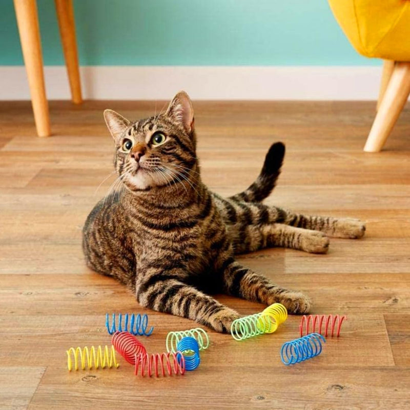 DDKY 20 pieces cat toy, cat toy, toy cat, spiral toy, cat toy spiral, lots of fun playing, suitable for pets to play - PawsPlanet Australia