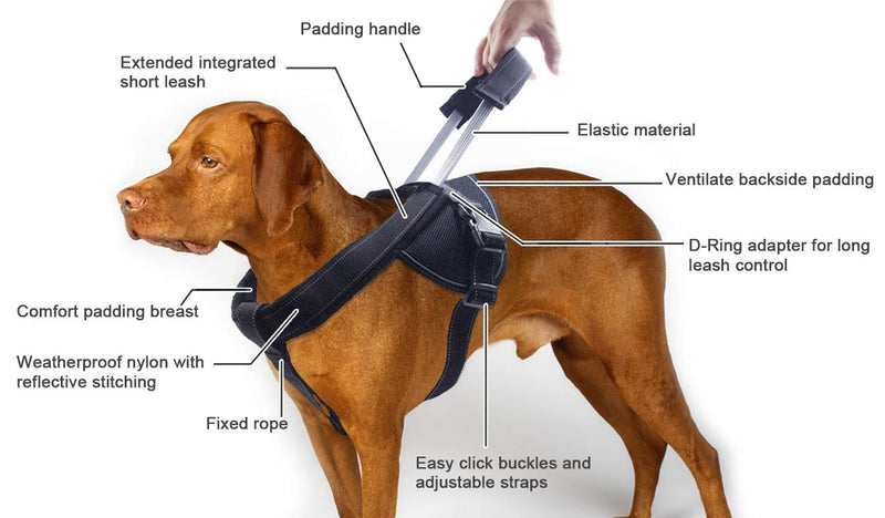 [Australia] - YOGADOG Heavy Duty Dog Harness, Prevent Pulling, Soft Padded with Special Extended Integrated Short Leash Design, Reflective Stitching, for Medium and Large Dogs XL:28''-38'' 