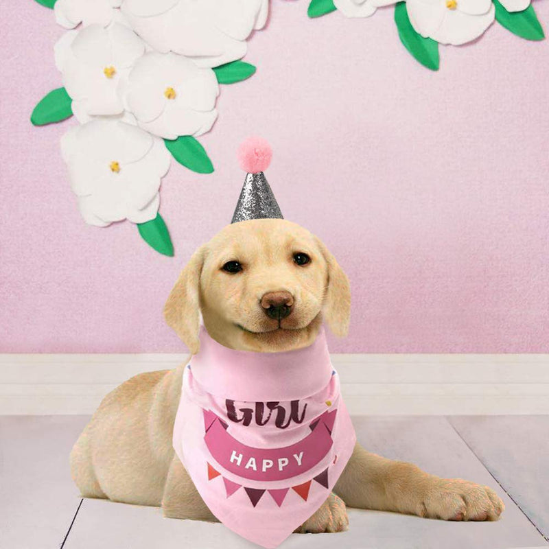 AriTan Dog Birthday Bandana Boy, Party Cone Hat and 10 Numbers Accessory, Double Layer Soft Triangle Scarf Bib for Large Medium or Small Pet Pink - PawsPlanet Australia