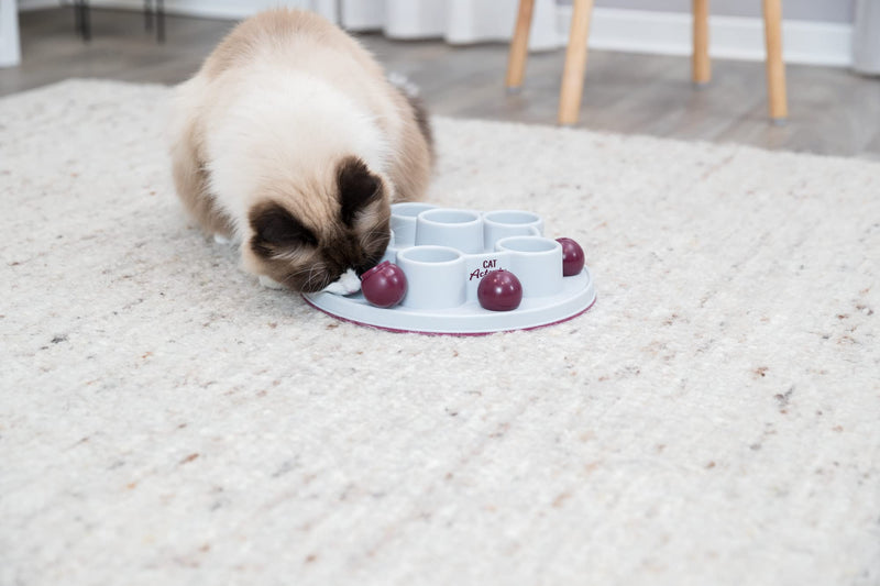 TRIXIE strategy game Slowfeed CAT Activity Pentagon, 28 cm - 45895 - PawsPlanet Australia