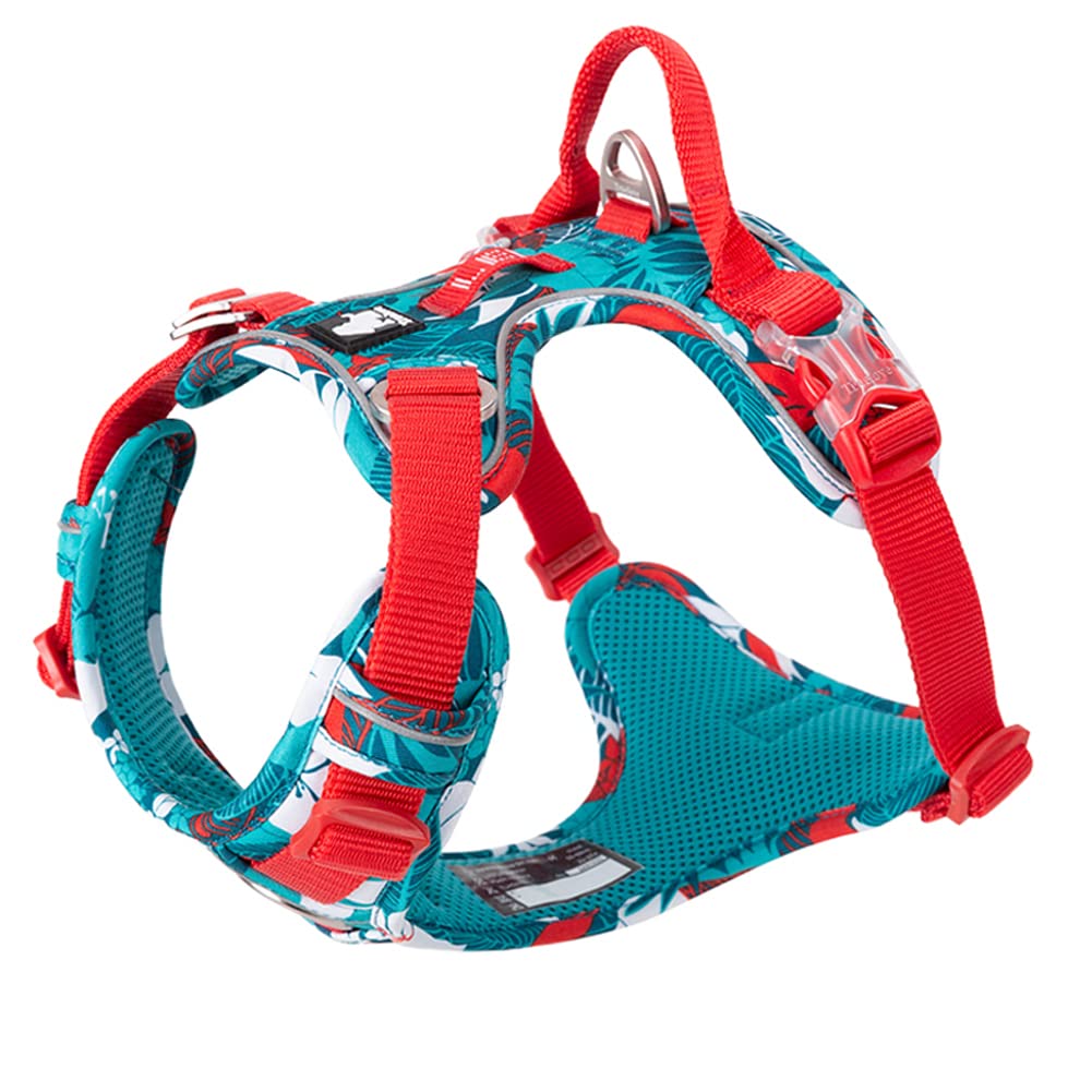 TVMALL Dog Harness for Small, Medium and Large Dogs Reflective Adjustable Front Clip Dog Harness Outdoor Anti Pull Harness No Pull Safety Harness Sport Dog Vest - TLH5653 S Blue Red - PawsPlanet Australia