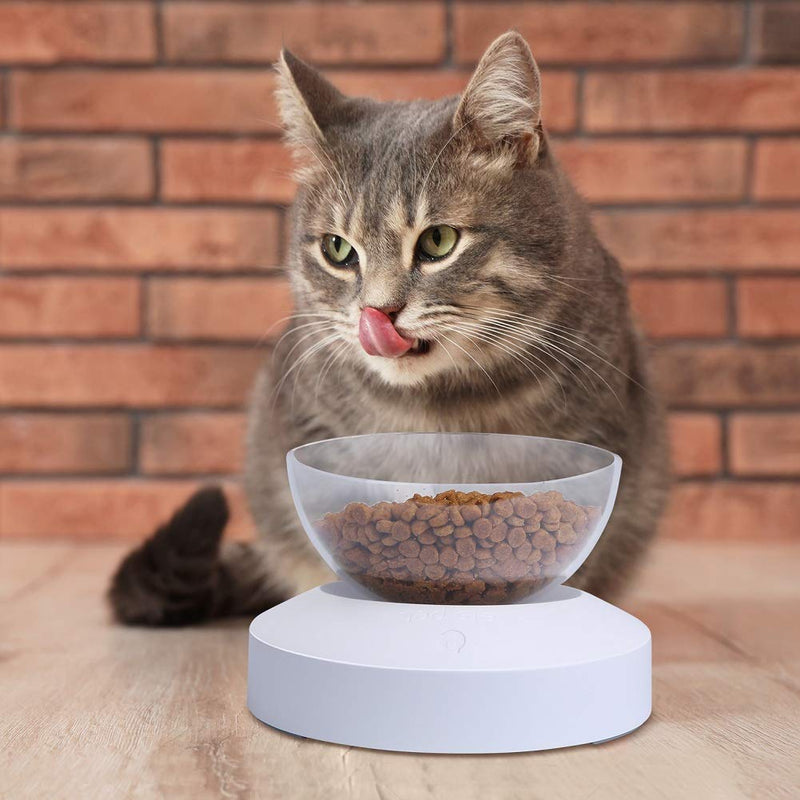 BESTOO Cat Bowl Raised Tilted 0-20° Cat Feeder Feeding Bowl Neck Support Anti Vomiting with Stand Non-Slip for Cat Dish Treats and Water Puppy Dog Food Bowl(single bowl) single bowl - PawsPlanet Australia