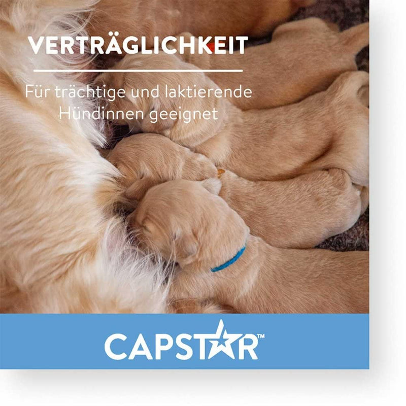 capstar 11.4 mg tablets for cats/small dogs 6 pcs - PawsPlanet Australia