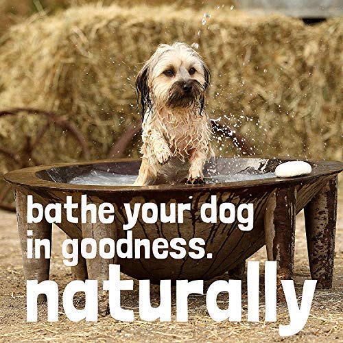 [Australia] - WashBar Natural Dog Soap Bar - Natural Dog Shampoo for Allergies and Itching, Zero Plastic Waste, Grooming Made Easy (Single) 