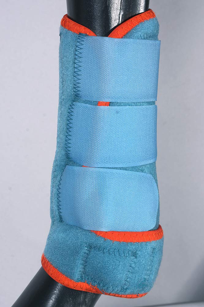 [Australia] - HILASON L M S Horse Hind Rear Leg Protection Sports Boot Pair Turquoise Medium 