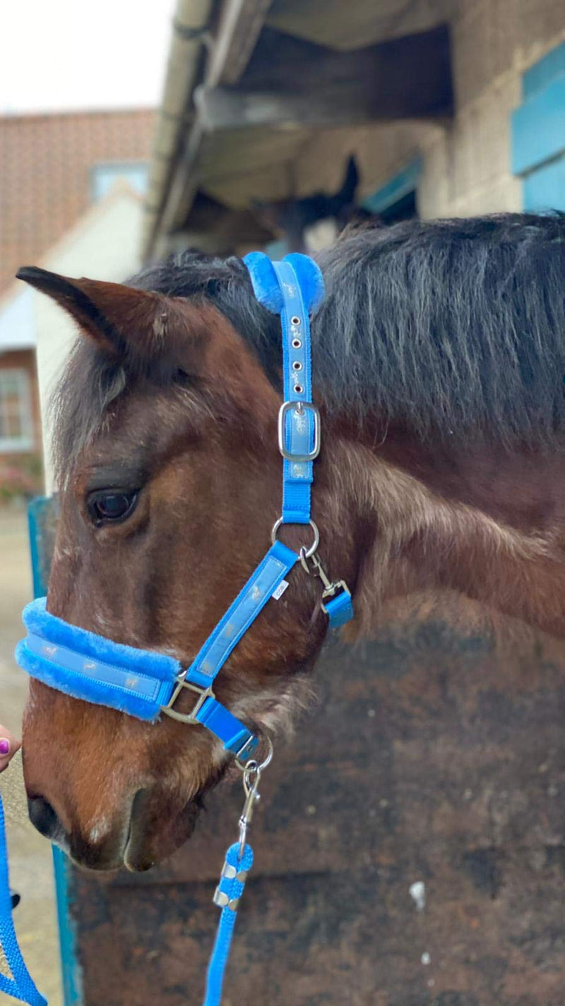 Equipride Horse Print Faux Lined Nylon Headcollars with Matching Lead Rope Baby Blue (Full) 1 Count (Pack of 1) - PawsPlanet Australia