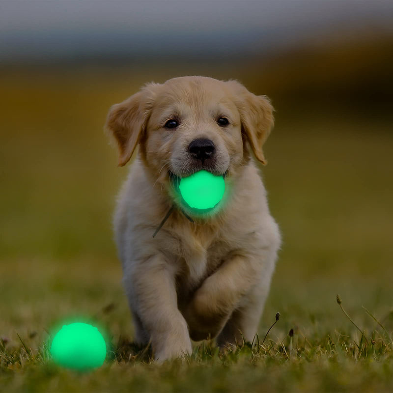 4 Pieces Light Dog Ball Glow in The Dark Rubber Dog Fetch Toy Balls for Large and Small Dogs, with 21 LED UV Flashlight for Nice Glowing Effect in Night - PawsPlanet Australia