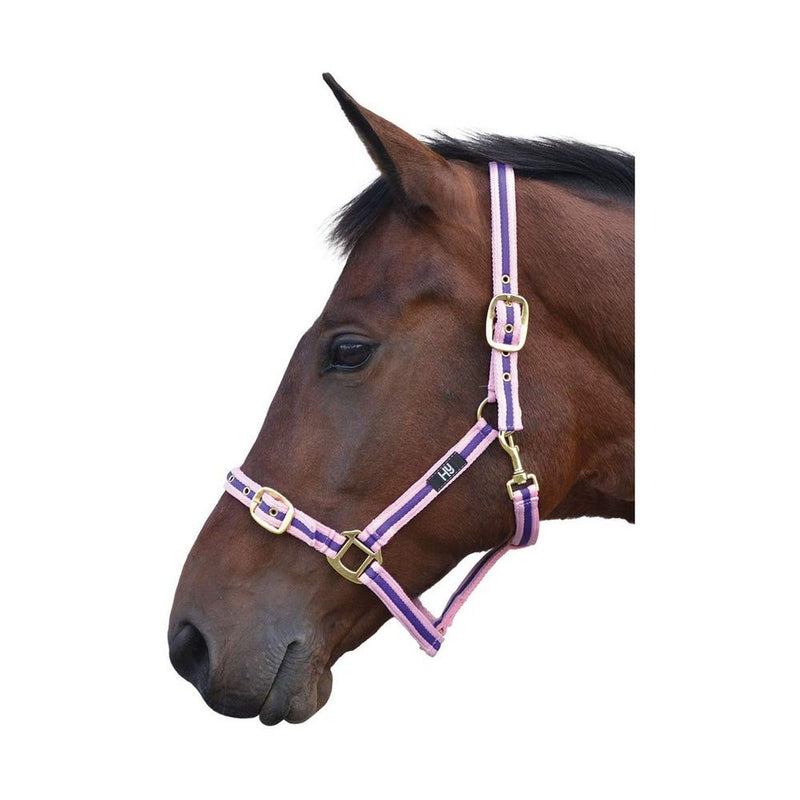 Hy Soft Webbing Head Collar(Purple/Black, Pony) - PawsPlanet Australia