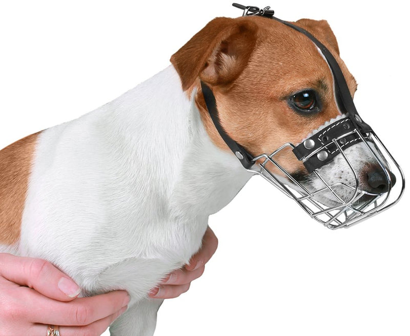 [Australia] - BronzeDog Wire Basket Dog Muzzle Jack Russell Terrier Metal Leather Adjustable Puppy Small 2XS 