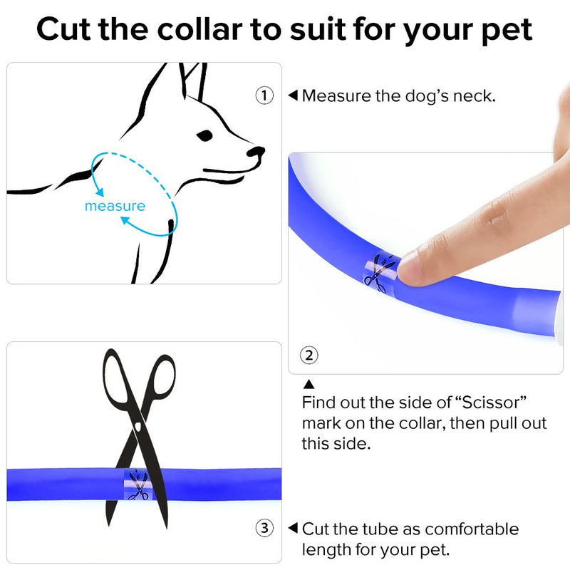 [Australia] - HiGuard LED Dog Collar, USB Rechargeable Glowing Pet Safety Collars, Adjustable Water-Resistant Flashing Light Up Necklace Collar Make Your Dogs High Visible & Safe in the Dark (1Pack-Blue) 