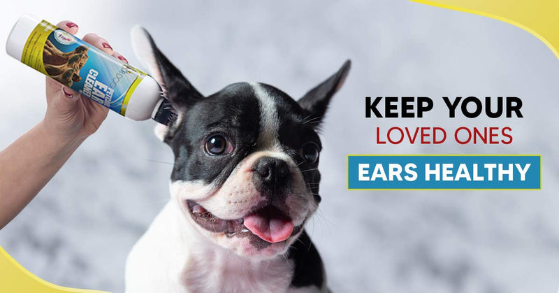 DR DOG Dog Ear Cleaner Drops  Dog Ear Cleaning Solution - Easy Apply Nozzle Canine Ear Cleaner  Ear Wash for Dogs - Help Relieve Itching, Head Shaking, Irritation  Dog Ear Flush Formula  230ml - PawsPlanet Australia