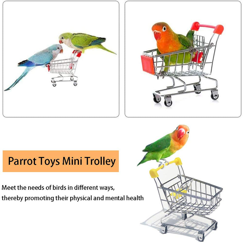 Parrot Toys Set, Bird Educational Training Toy, Parrots Training Toys and Accessories Including Shopping Cart Basketball Stacking Toy Skateboard, Bird Toys for Budgies Cockatiel Parrots Parakeets - PawsPlanet Australia