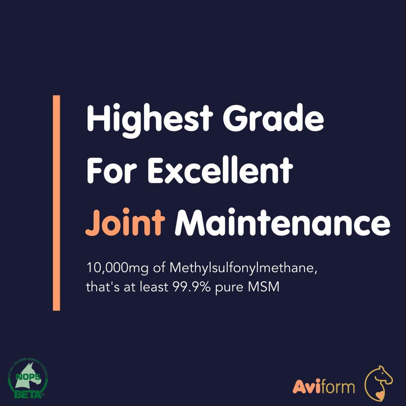Aviform MSM Equine Joint Supplement for Horses - Highest Purity for Excellent Joint Maintenance, Healthy Growth of The Hoof, Tendons, Soft Tissue, Muscles and Ligaments - 2kg Compostable Pouch - PawsPlanet Australia