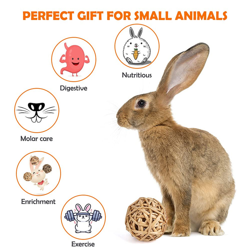 Sofier Rabbit Chew Toys 10 Pack Natural Bunny Toys Handmade Rabbit Treats Small Animal Toys Molar Care Apple Sticks Timothy Balls Sweet Bamboos Carrots for Hamster Chinchilla Guinea Pig - PawsPlanet Australia